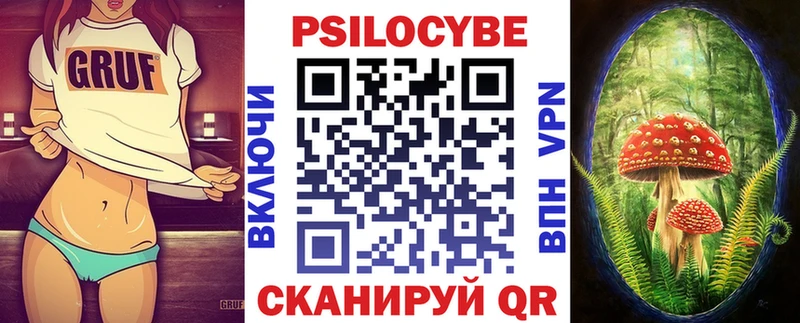 купить закладку  Петушки  Галлюциногенные грибы мухоморы 